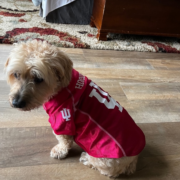 Meet your Posher, Erica - Picture 1 of 1